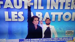 Solveigh Halloin pête un câble à TPMP [upl. by Ruenhcs]