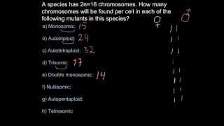 Chromosome number and ploidy mutations [upl. by Zeuqram419]