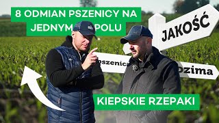 CEL JAKOŚCIÓWKA DWA SYSTEMY OCHRONY I PLAN NA WIOSNĘ  321 nawozy nonstop [upl. by Zsa]