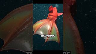 Secrets of Vampire Squid Revealed 🐙 shorts [upl. by Asiak121]