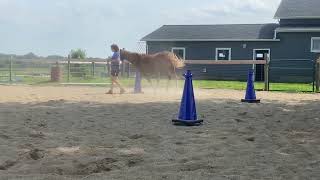 Cappy Leadline Weaving Cones [upl. by Nedia226]