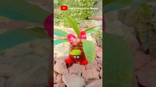 Amazing ideasrecycle plastic bottles into cute shaped flower pots for small garden diy pot [upl. by Zirtaeb703]