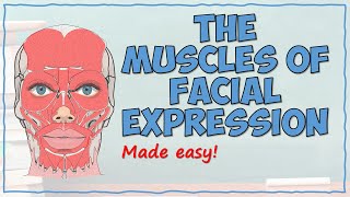 The Muscles of Facial Expression [upl. by Crotty]