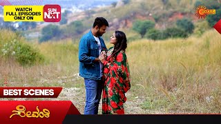 Sevanthi  Best Scenes  20 Nov 2023  Kannada Serial  Udaya TV [upl. by Milstone11]