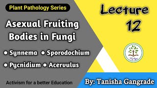 Asexual Fruiting Bodies  Fructification in Fungi  Synnemata  Pycnidium  Acervuli  by Tanisha [upl. by Abby771]