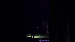 GANKED IRL IN A FOREST leagueoflegends halloween twitch hallow833 [upl. by Bakki]