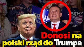 Donosiciel PiS Dominik Tarczyński wnuk szmalcownika donosi na Polski rząd Trumpowi [upl. by Finnie]