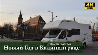 НОВЫЙ ГОД В АВТОДОМЕ КАЛИНИНГРАД  ЗЕЛЕНОГРАДСК [upl. by Ansilme]