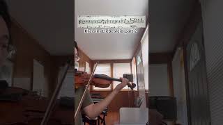 Kreisler Liebesleid violin violinmusic music violinist classicalmusic violinlife musicgenre [upl. by Ahsienyt]