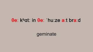 A Sentence from ProtoGermanic to Modern English [upl. by Jeaz]