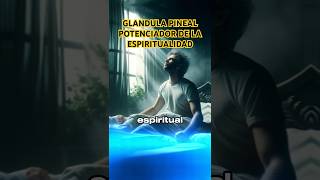 COMO ACTIVAR LA GLÁNDULA PINEAL [upl. by Bertie733]