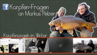 Karpfenangeln im Winter Die besten Tipps von Markus Pelzer [upl. by Akeyla]