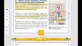 pharmacologyLec 4 cholinergic agonist part 3 الأخير [upl. by Eisenhart72]