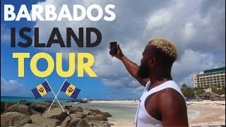 Barbados Safari Tour  Top Things To Do In Barbados [upl. by Xxam580]