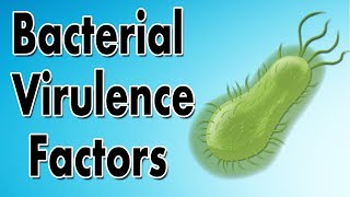 Bacterial Virulence Factors [upl. by Calysta749]