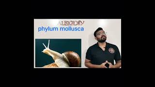 phylum mollusca  animal classification  Viral Short  Avinash sir [upl. by Enihsnus]