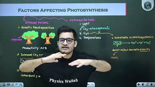 Photosynthesis in Higher Plants 06  Factors Affecting Photosynthesis  Recordedmp4 [upl. by Emerick513]