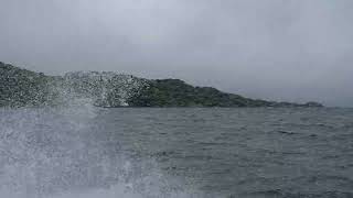 Water taxi  Ulva Island  Stewart Island [upl. by Anifled555]