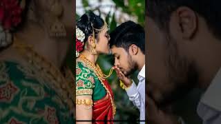 Marriage whatsapp status full HD screen shot video marriage shorts video [upl. by Ephrayim]