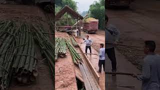 Bamboo pulp making process Good tools and machinery can increase work efficiency [upl. by Ritz]