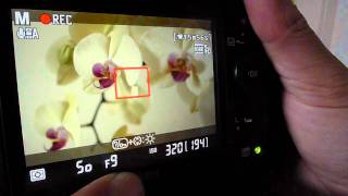 Nikon D7000 Movie Mode Settings Explained [upl. by Eiresed]