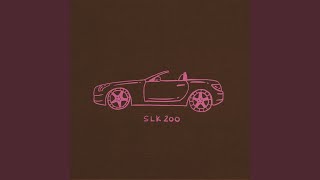 SLK 200 [upl. by Siaht]