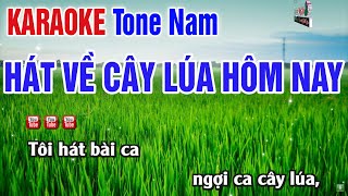 Hát Về Cây Lúa Hôm Nay Karaoke Tone Nam 2024  Nhạc Sống Thanh Ngân [upl. by Sybley]