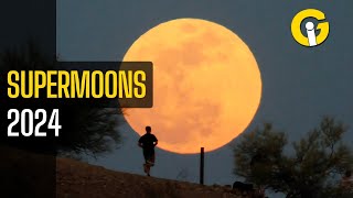 When and how to watch Supermoon 2024  Complete Guide [upl. by Naamann750]