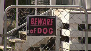 District 7 Councilwoman introduces measures to control dangerous dogs owners [upl. by Niad859]