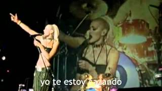 No doubt simple kind of life live subtitulado español [upl. by Arlon]