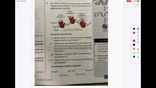 MIKAIL BİYOLOJİ PROTEİN SENTEZİ SORU VE CEVAPLARI [upl. by Palestine]