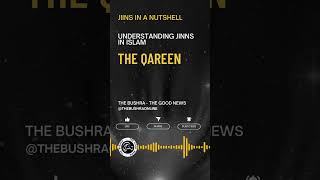 Jinns in Islam The Qareen Jinns  Jinns in a Nutshell [upl. by Quiteris]