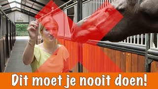 Doe dit NOOIT  PaardenpraatTV [upl. by Docia178]