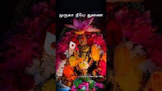 முருகா நீயே துணை lordmuruganmotivationtamiltrendingdialogueshortsMuruganwhatsapp statestamil [upl. by Athal]