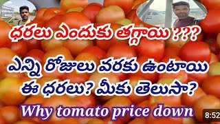 Today tomato rate  నవంబర్ టమోటా ధరలు ఎలా  అక్టోబర్ లో టమాటా ధరలు ఎలా ఉంటాయి tomatoanalysis [upl. by Joelynn]