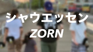 ZORN  シャウエッセン 歌詞付き韓国語訳 [upl. by Klein82]