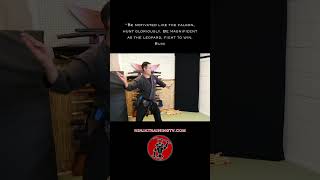 Bo Shuriken Side Throw shorts ninja samurai martialarts [upl. by Shoshana551]