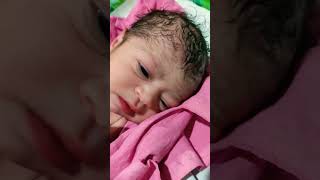 Newborn baby in nicu 😍👶nicu niculife baby babycare babygirl [upl. by Annahpos308]