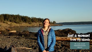 Michelle Savoie explains Marbled Murrelet ecology [upl. by Eycal638]