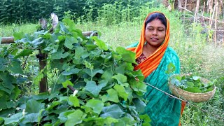 বাগানের টাটকা তেলাকুচা শাকের এই রান্নাটি আপনার মুখের স্বাদ বদলে দেবে ll Telakucha Shak Recipe [upl. by Oshinski368]