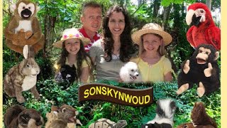 Sonskynwoud Episode 1 Gesonde kos amp soldaatjies vir Jesus [upl. by Yleen137]