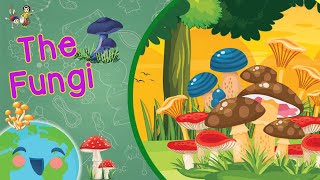 Fungi for Kids  The Fungi Kingdom Learning Videos For Kids [upl. by Alyaj]