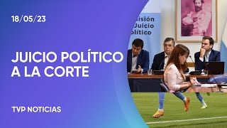 Juicio a la Corte más testimonios en Diputados [upl. by Ellinet]