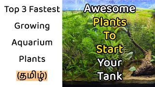 🐠☘️த Top 3 fastest growing plants in தமிழ் [upl. by Adialeda264]