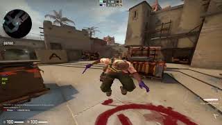 fatality hvh highlights csgo  hvh приколы  2 amp angelwings [upl. by Ainessej372]