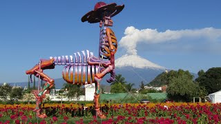 Volcán Popocatépetl y activo desde Atlixco Pueblo Mágico [upl. by Leuas]