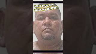 Cayó quotEL CUCHEquot Pandillero DEPORTADO de USA shorts elsalvador usa noticias news [upl. by Nolad316]