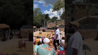 Brolga Dance Academy at Dance Rites 2023 [upl. by Yves]