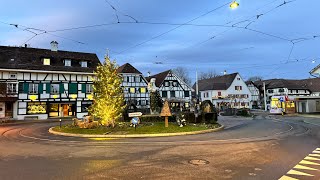 Biking from Schönenbuch to Allschwil  Switzerland Winter 4K  20240101 [upl. by Batory961]