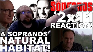 The Sopranos 2x11 quotHouse Arrestquot  Reaction [upl. by Notwal]